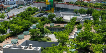 sustainability_environment_picture